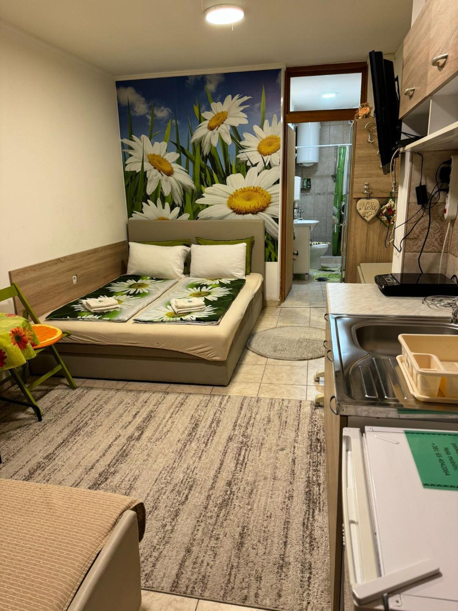 Nela Apartmani Ni Esterno foto