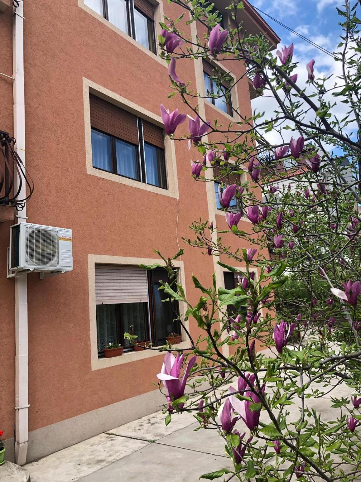 Nela Apartmani Ni Esterno foto